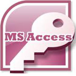 MS Access database developer Saint Louis MO